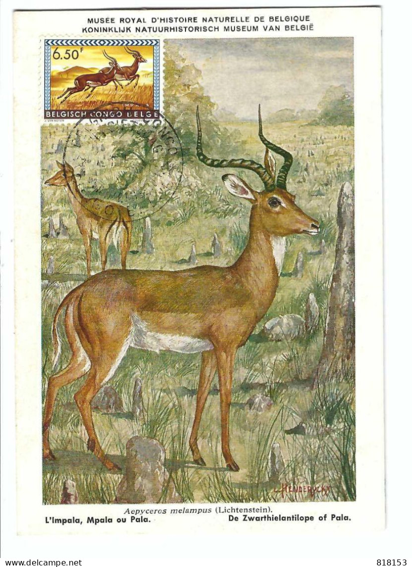 BELGISCH CONGO BELGE L'Impala  Nr 14   FDC - Oblitérés