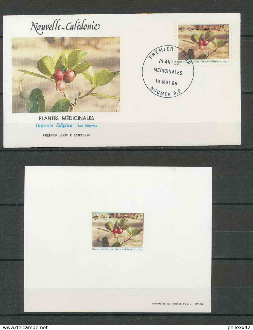 Nouvelle Calédonie épreuve De Luxe / Deluxe Proof + FDC N° 556 Flore Plante Médicinale Fleurs (plants - Flowers) - Geneeskrachtige Planten