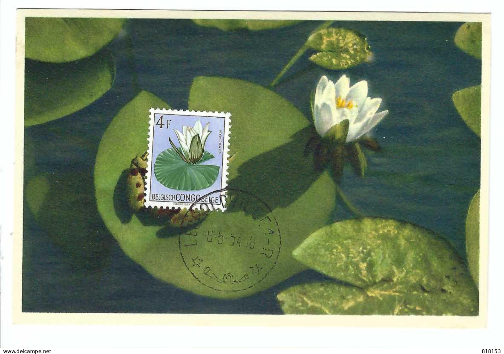 BELGISCH CONGO BELGE   3008 Nymphaea Alba  FDC 6/5/54 - Used Stamps