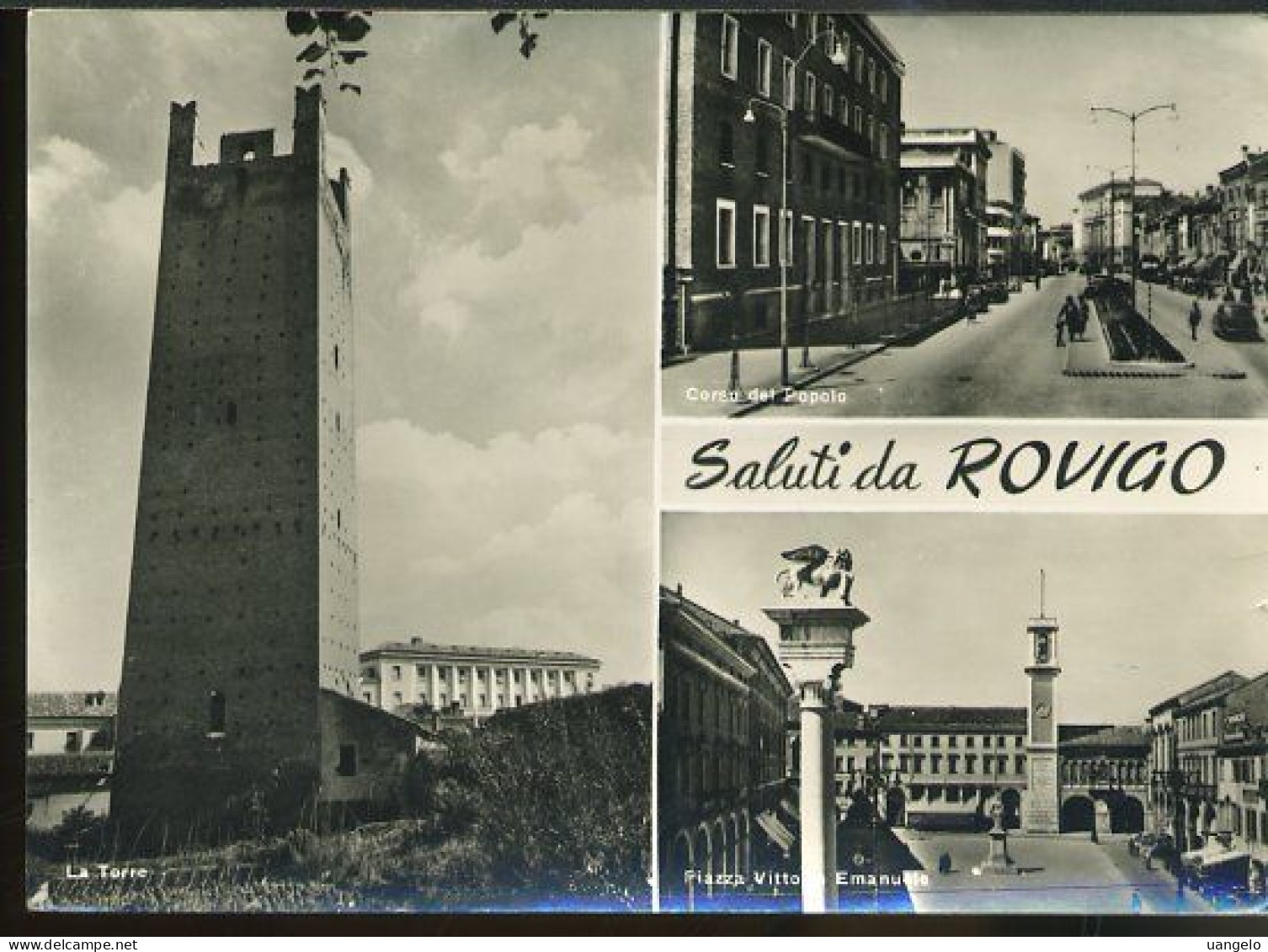 V663 SALUTI DA ROVIGO - Rovigo