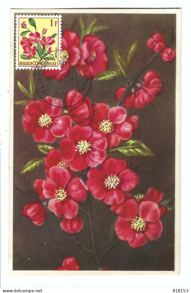 BELGISCH CONGO BELGE   Japanse Kwepereboom  FDC 14/10/54 - Used Stamps