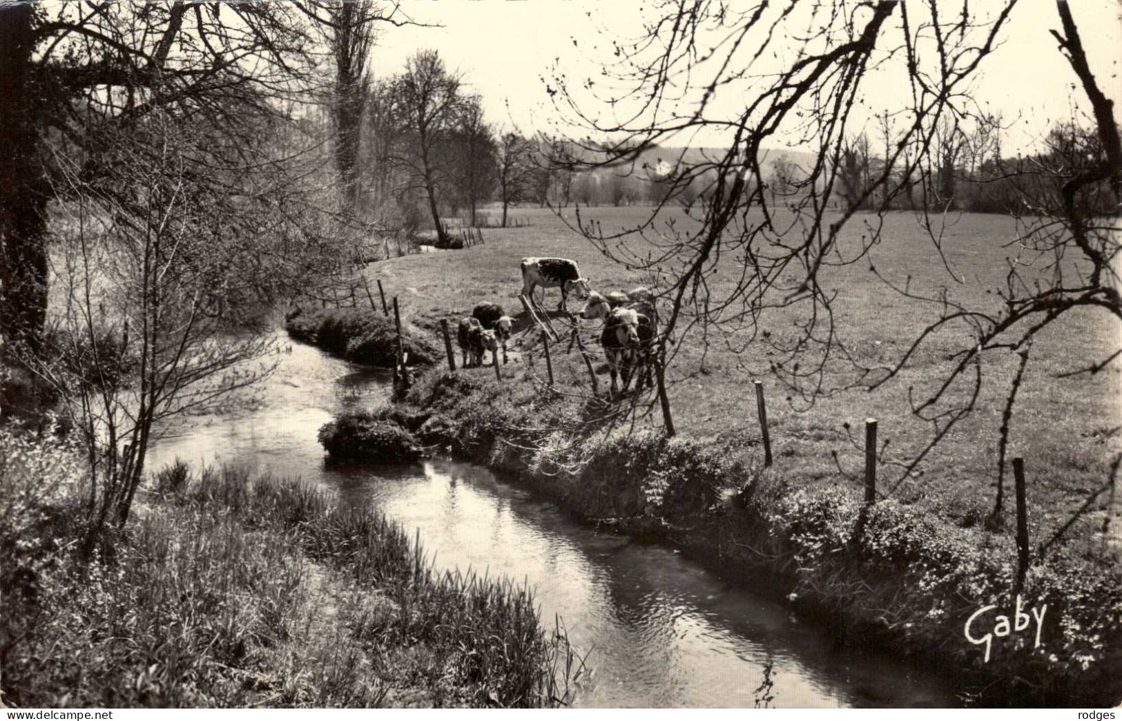 61 , Cpsm LONGNY Au PERCHE , 54 , La Commeauche à Brochard  (9534.F24) - Longny Au Perche