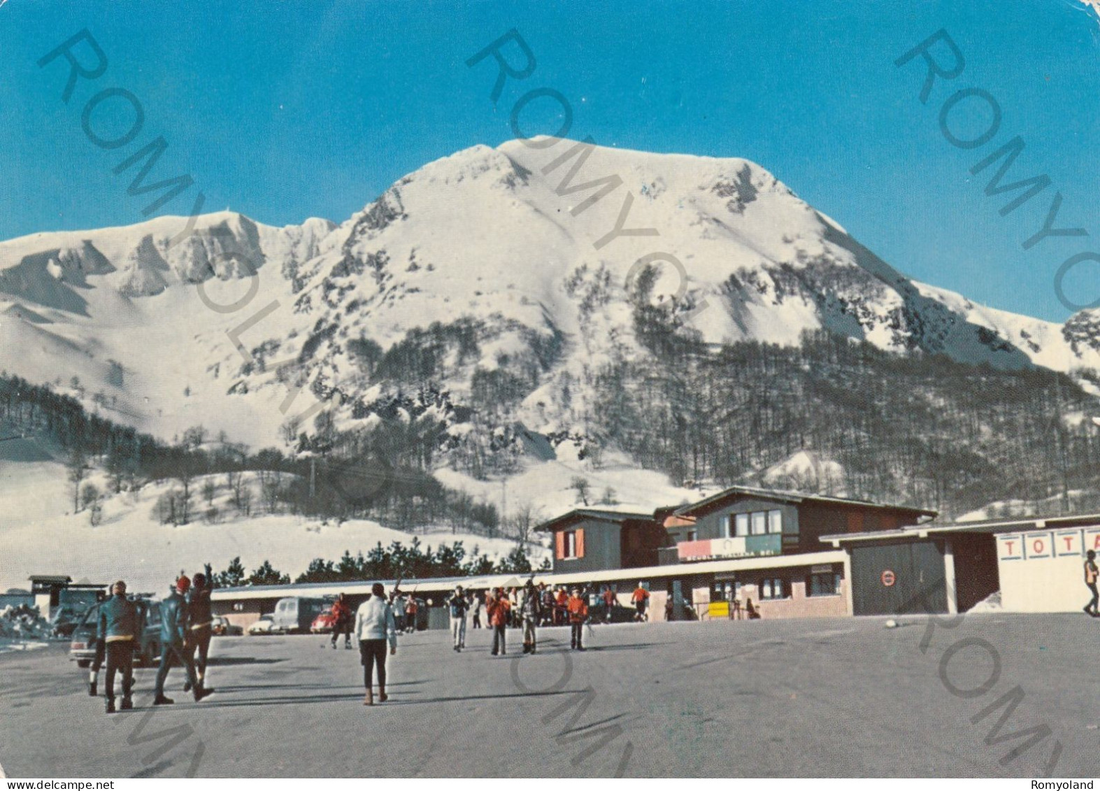 CARTOLINA  CAMPITELLO MATESE M.1450,CAMPOBASSO,MOLISE-SCUOLA ITALIANA SCI E MONTE MILETTO M.2050-VIAGGIATA 1973 - Campobasso