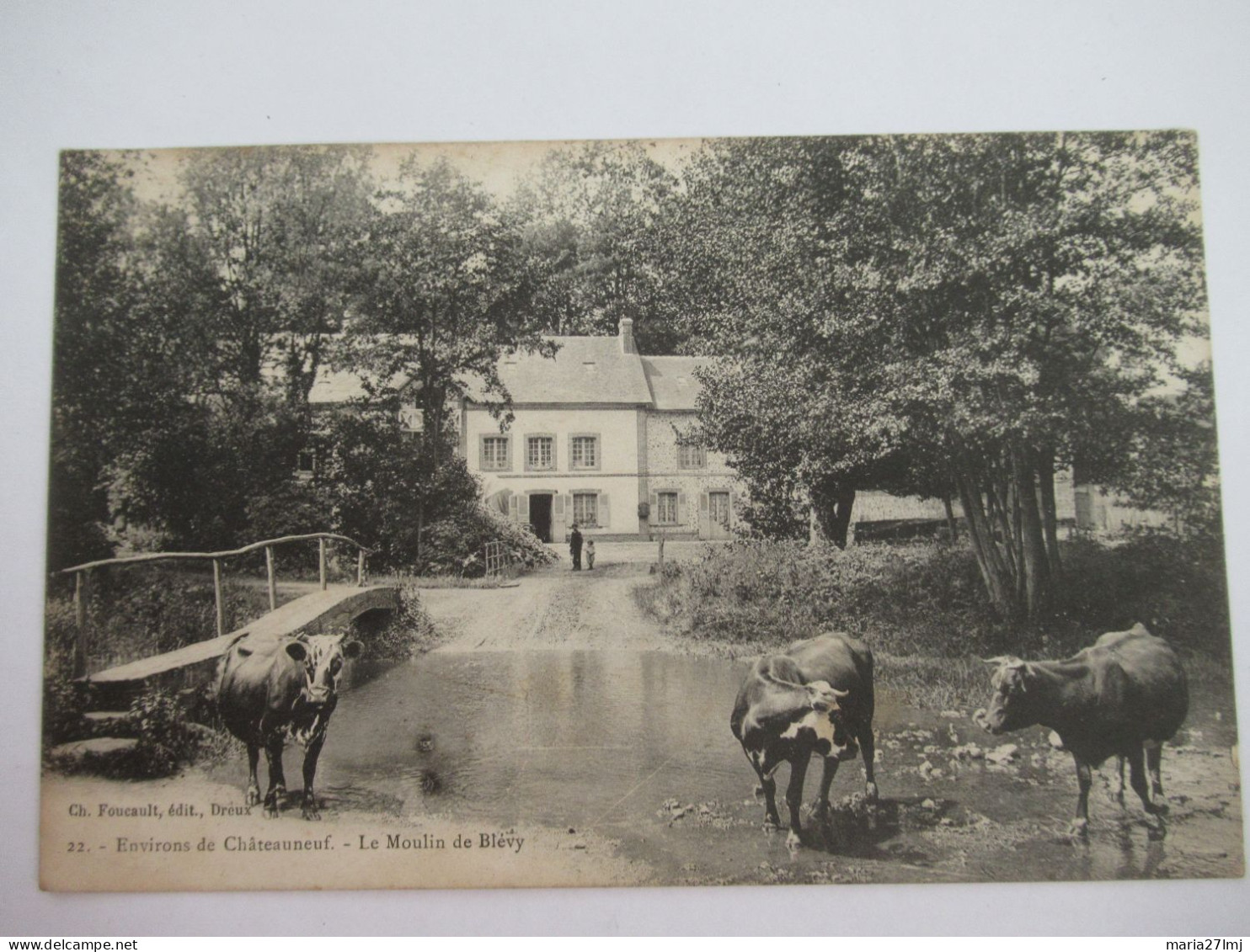 22. Environs De Châteauneuf. - Le Moulin De Blévy - Boeufs - DEPT 28 - DEL141 - Châteauneuf