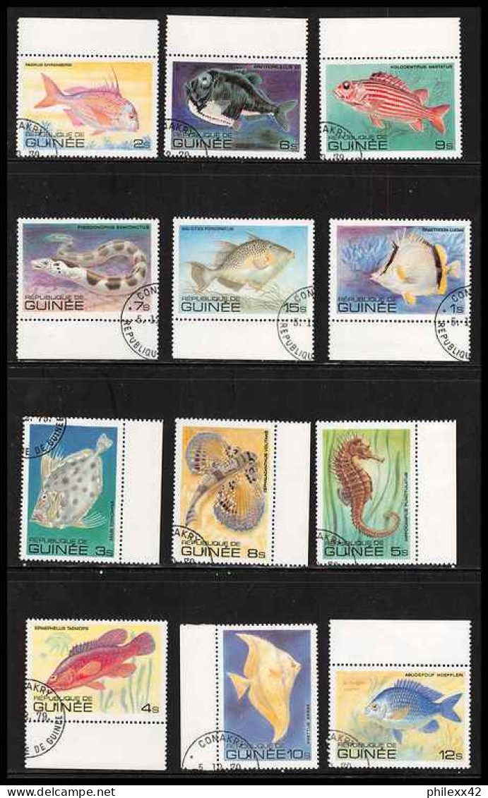 lot 5a collection de 100 Blocs / séries  forte cote animaux faune fleurs Animals  Fauna flowers