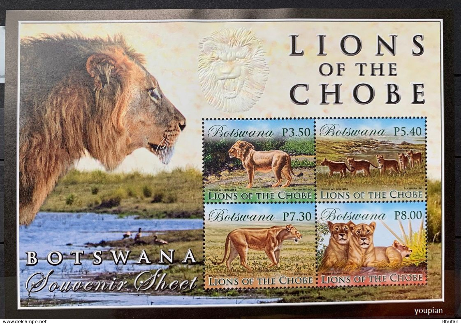 Botswana 2014, Lions Of The Chobe, MNH Unusual S/S - Botswana (1966-...)