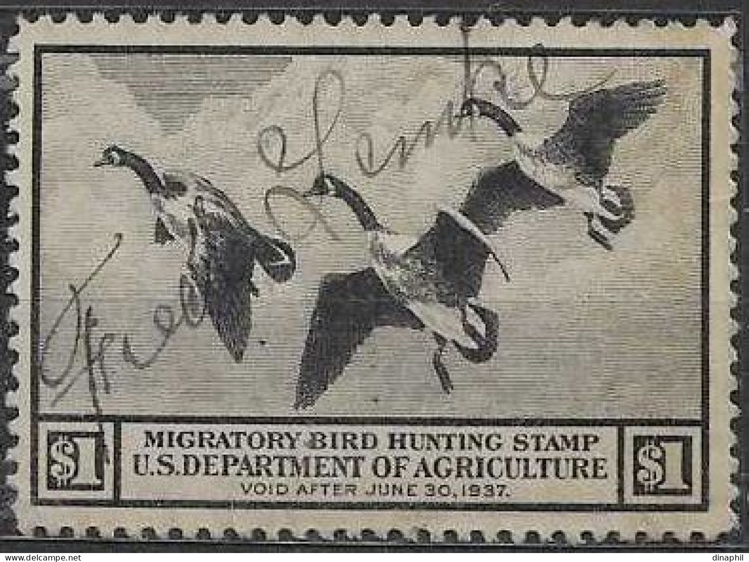 US RW3 Used Duck Stamp From 1936 - Duck Stamps
