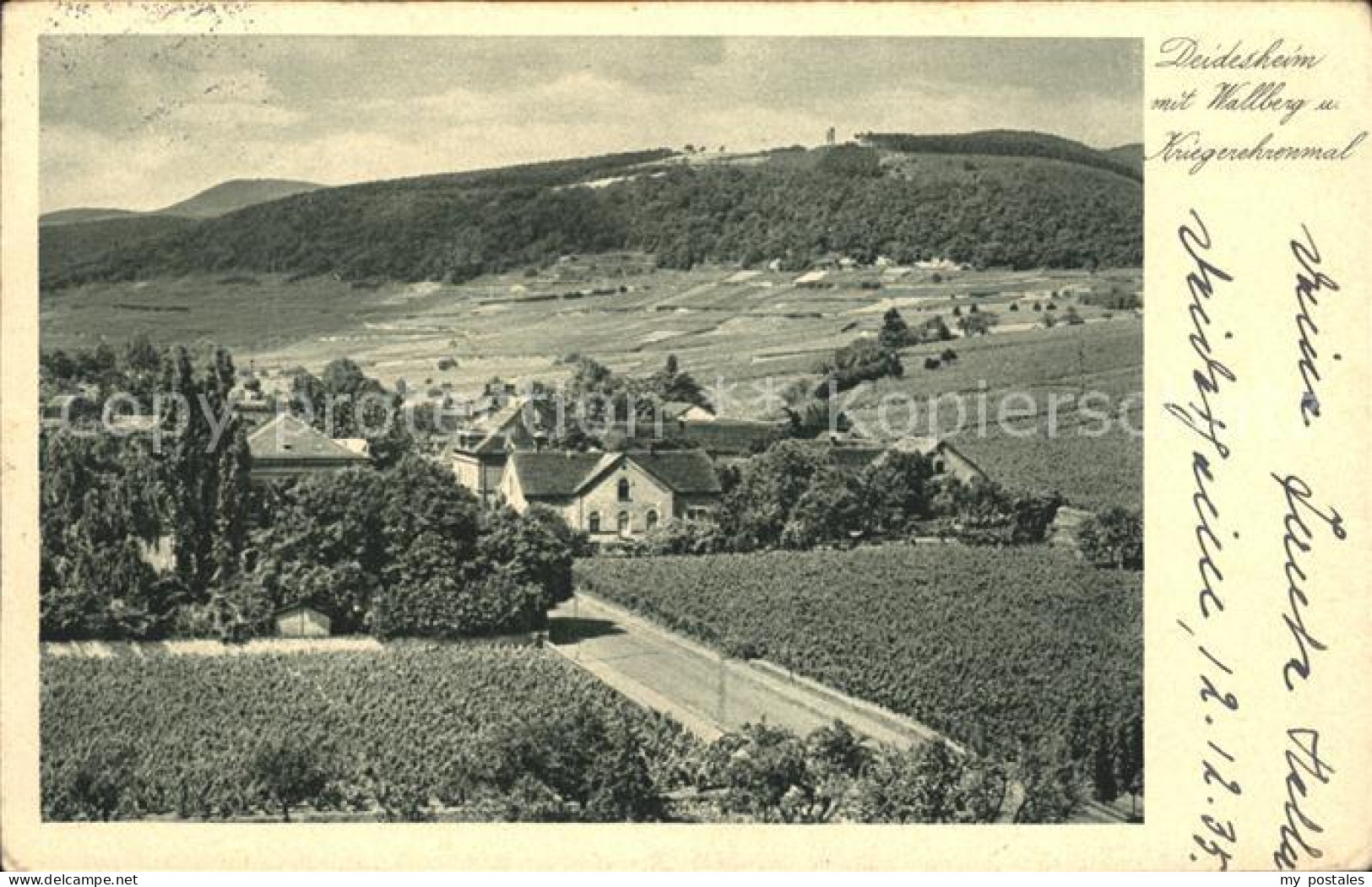 41792733 Deidesheim Wallberg Kriegerehrenmal Deidesheim - Deidesheim