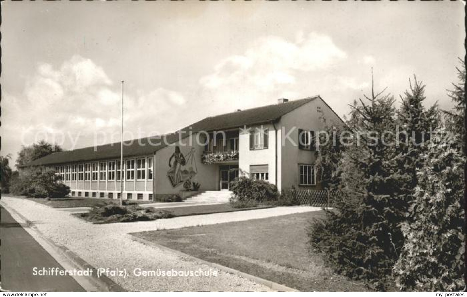 41792727 Schifferstadt Gemuesebauschule Schifferstadt - Schifferstadt