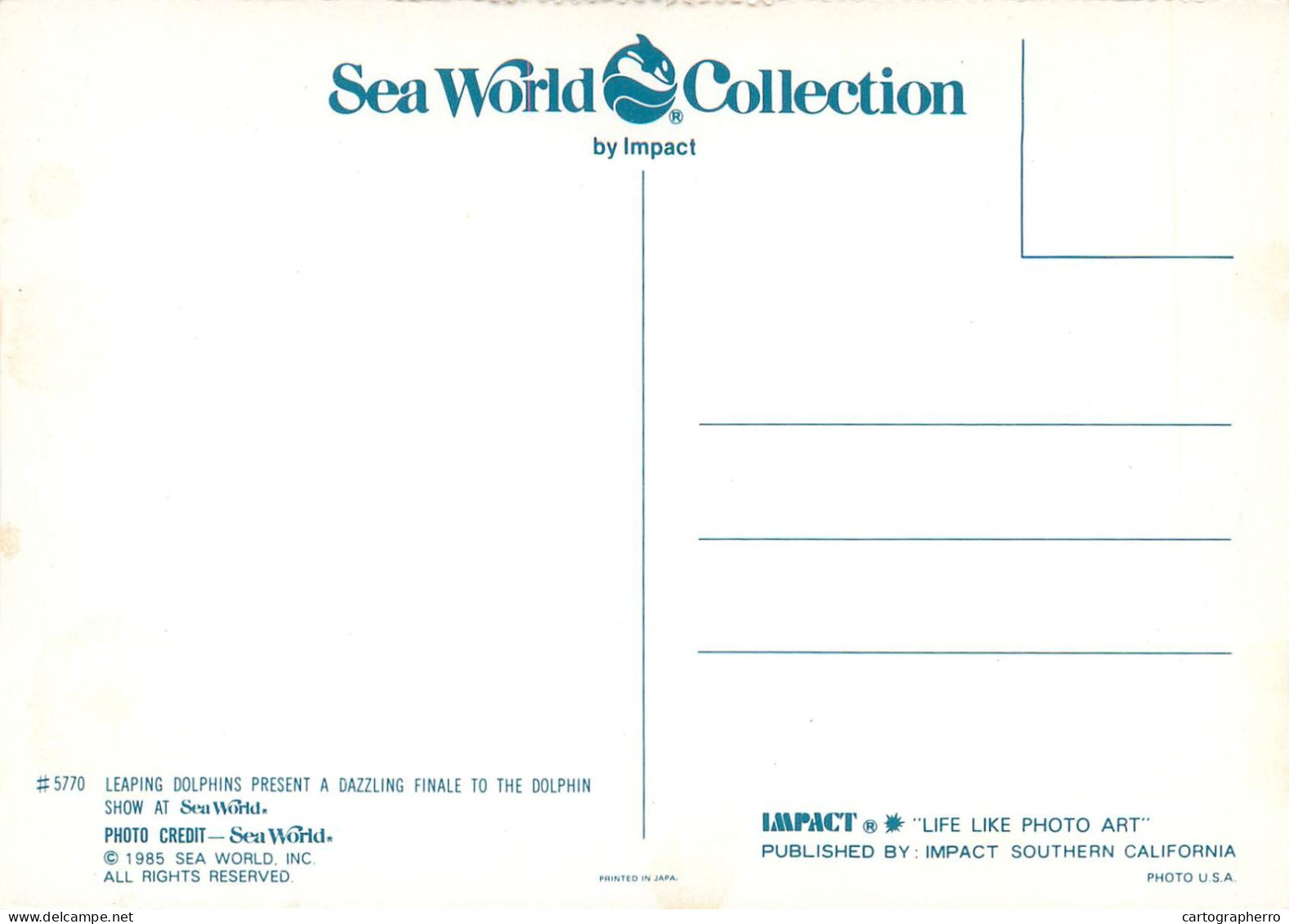 Postcard Animal Dolphins At Seaworld - Dauphins
