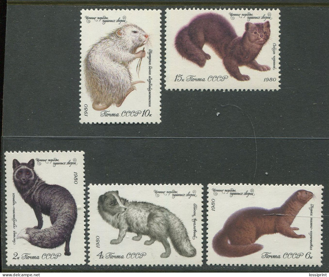 Soviet Union:Russia:USSR:Unused Stamps Animals, Rodents, 1980, MNH - Roditori