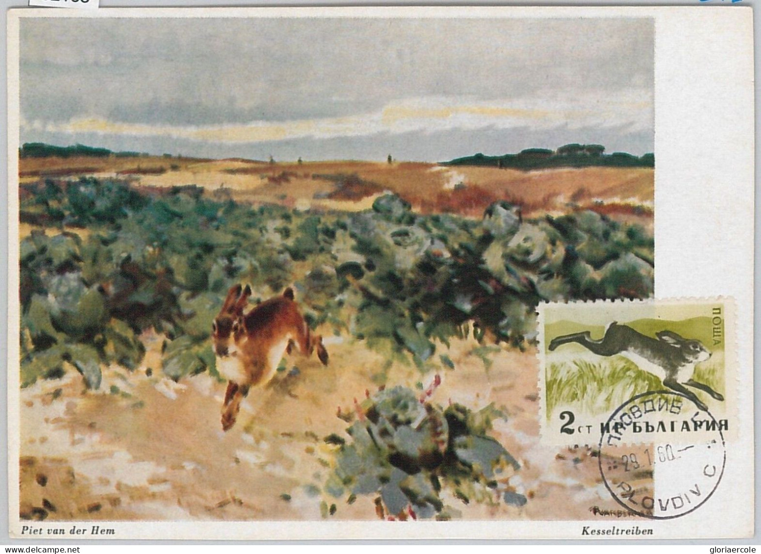 52168 - BULGARIA - MAXIMUM CARD - ANIMALS \ HUNTING - HARE 1960 - Rabbits