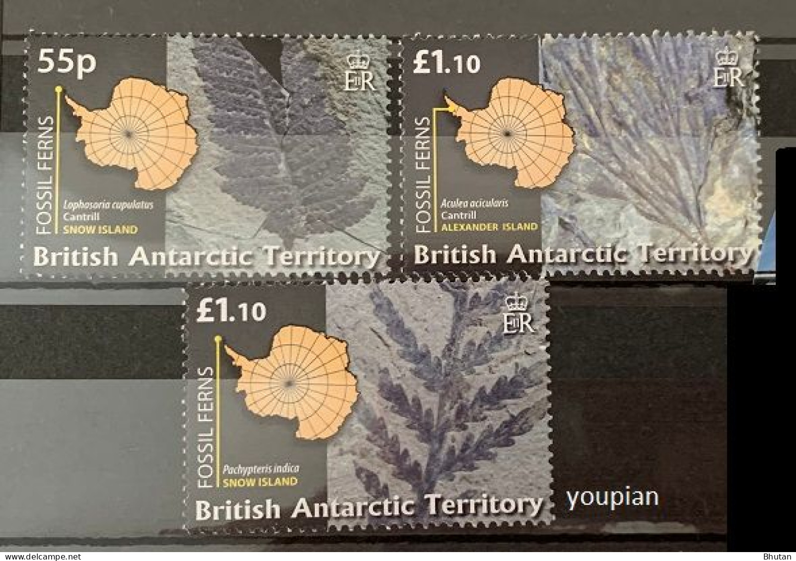 British Antarctic Territory 2008, BAT Fossils And Ferns, MNH Stamps Set - Nuovi