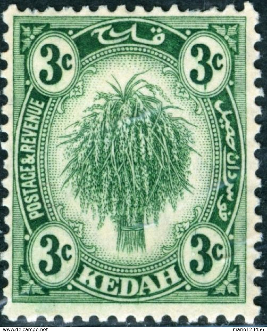 MALAYA, KEDAH, AGRICOLTURA, FLORA, 1924, FRANCOBOLLI NUOVI (MLH*) Mi:MY-KE 37, Scott:MY-KE 27, Yt:MY-KE 27 - Kedah