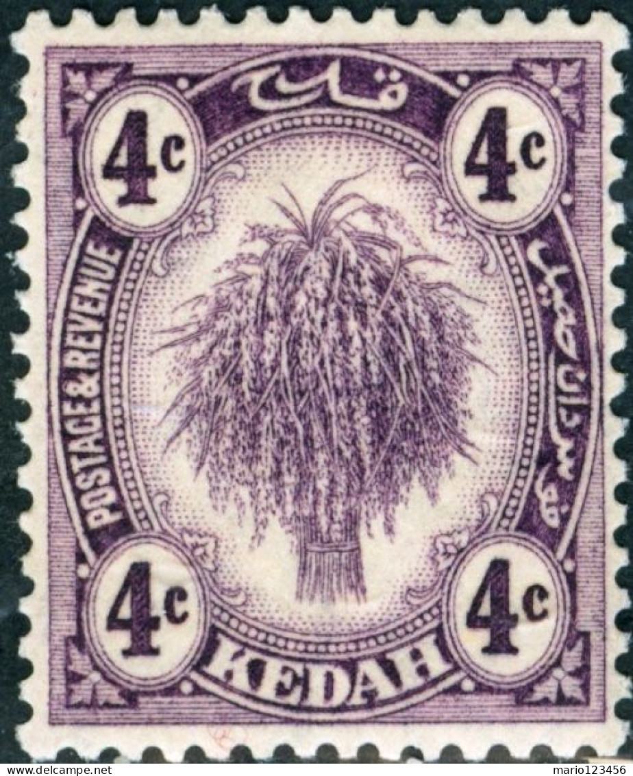 MALAYA, KEDAH, AGRICOLTURA, FLORA, 1926, FRANCOBOLLI NUOVI (MLH*) Mi:MY-KE 38, Scott:MY-KE 29, Yt:MY-KE 29 - Kedah