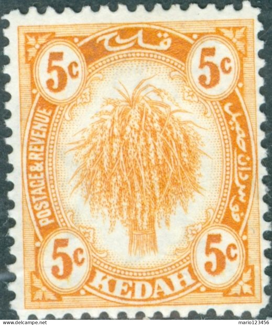 MALAYA, KEDAH, AGRICOLTURA, FLORA, 1922, FRANCOBOLLI NUOVI (MLH*) Mi:MY-KE 38, Scott:MY-KE 29, Yt:MY-KE 29 - Kedah