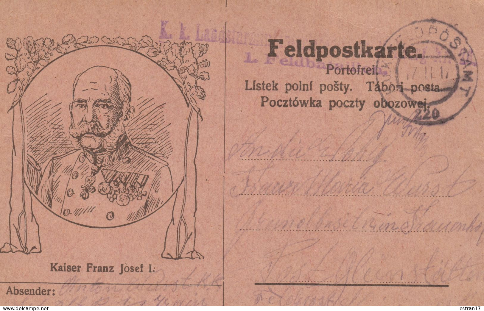 CARTE POSTALE AVEC PORTRAIT DU KAISER FRANCK EXPEDIEE EN 1917 - Errors & Oddities