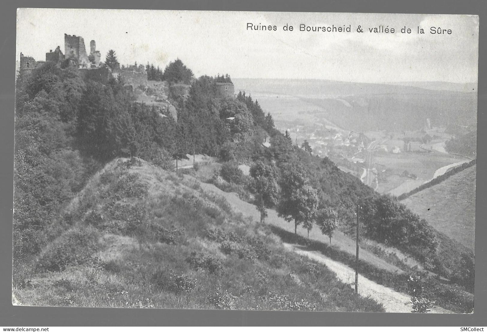 Ruines De Bourscheid Vallée De La Sûre (A20p48) - Bourscheid