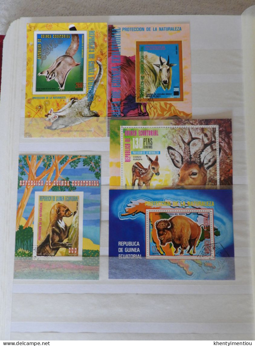 Très Beau Lot De Timbres De Guinée Equatoriale - Thématique : Faune - Guinea Ecuatorial