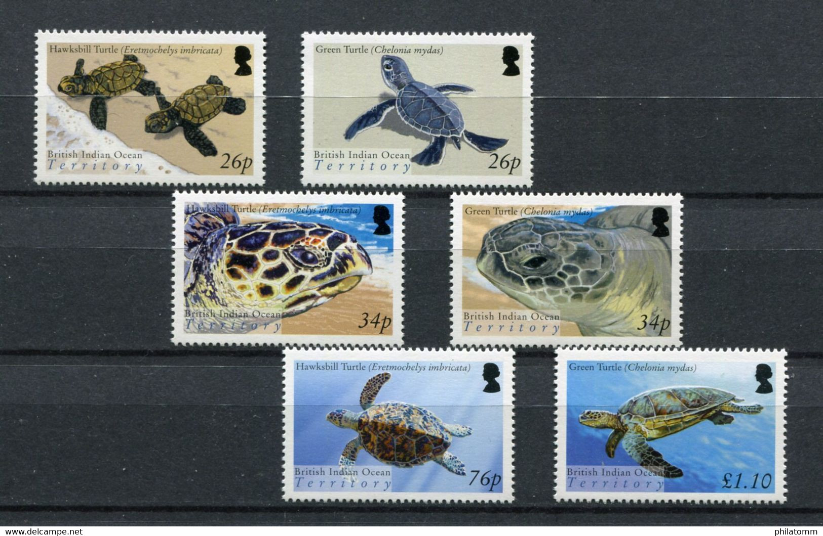 Britisches Territorium Im Indischen Ozean - Mi.Nr. 356 / 361 - "Meeresschildkröten" ** / MNH (aus Dem Jahr 2005) - Britisches Territorium Im Indischen Ozean