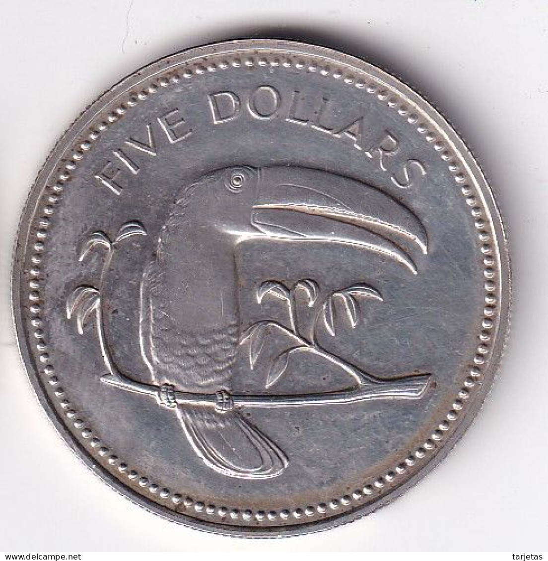 MONEDA DE PLATA DE BELIZE DE 5 DOLLARS DEL AÑO 1974 SILVER-ARGENT (TUCAN) - Belize