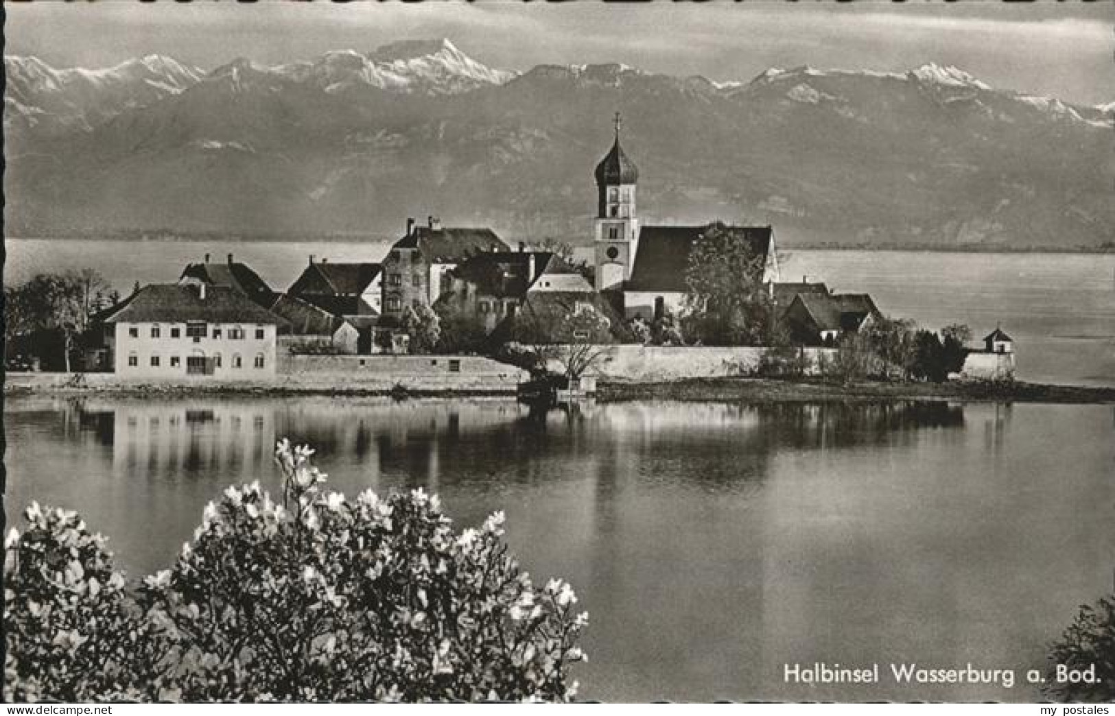 41221988 Wasserburg Bodensee Halbinsel Wasserburg Wasserburg - Wasserburg (Bodensee)