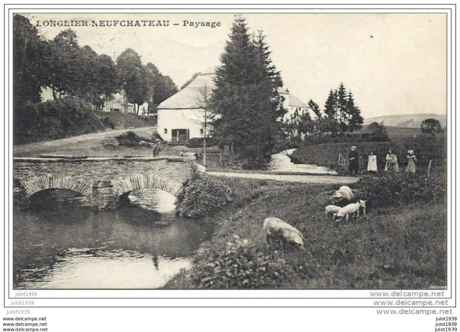 Julot1939 ....  LONGLIER ..--  Paysage . Cochons . 1920 Vers LIEGE ( Mr Léopold PONCIN ) . Voir Verso . - Neufchateau