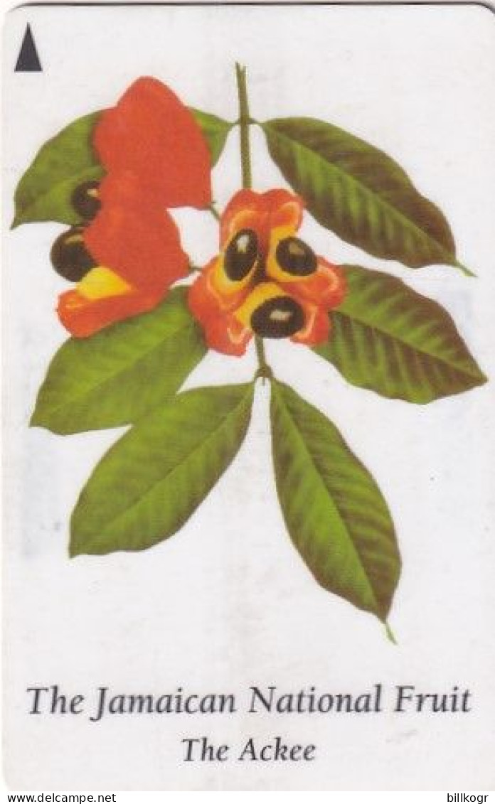 JAMAICA(GPT) - The Jamaican National Fruit/The Ackee, CN : 120JAMA, Used - Giamaica