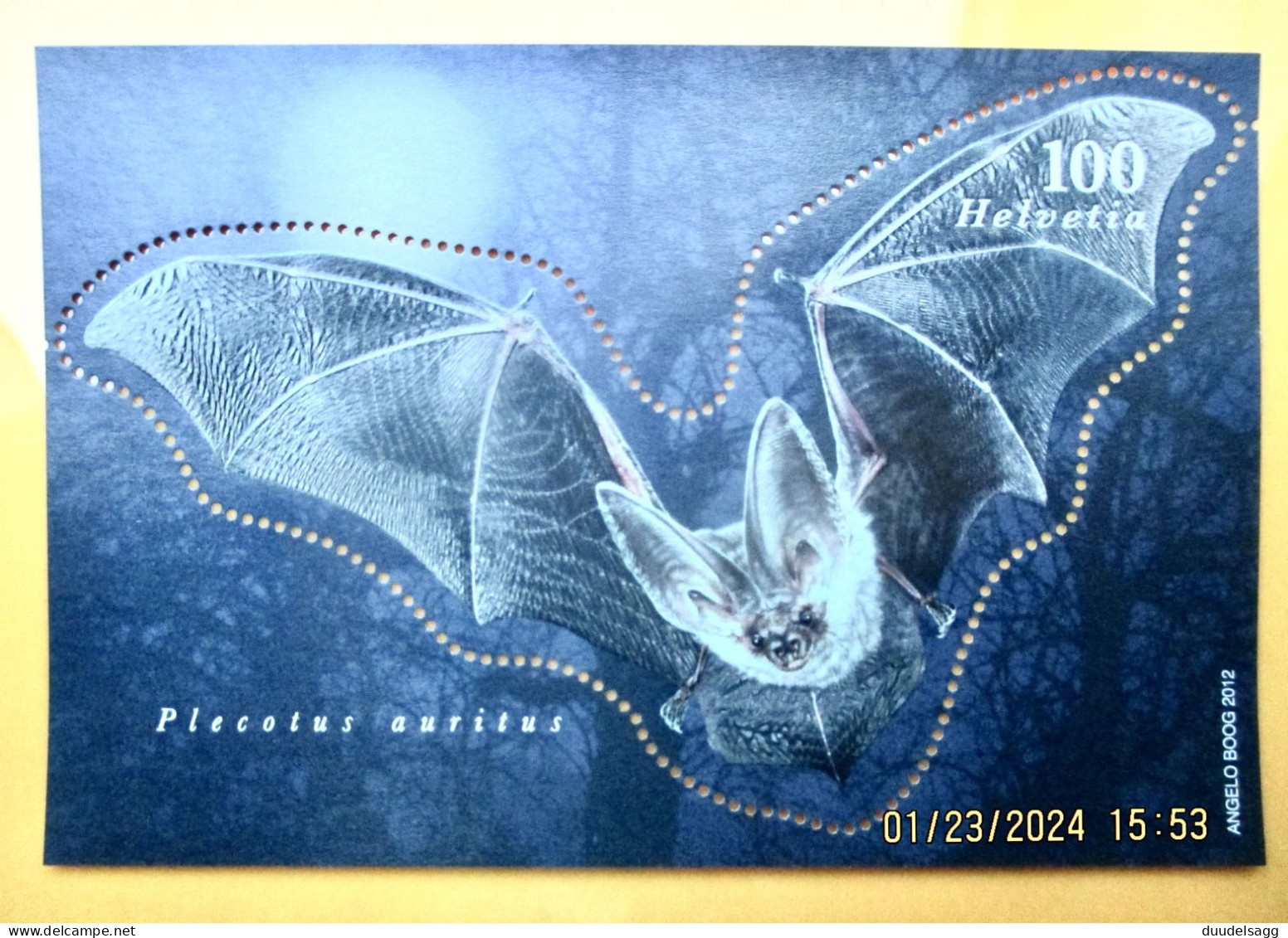 2012 Fledermaus ** - Unused Stamps