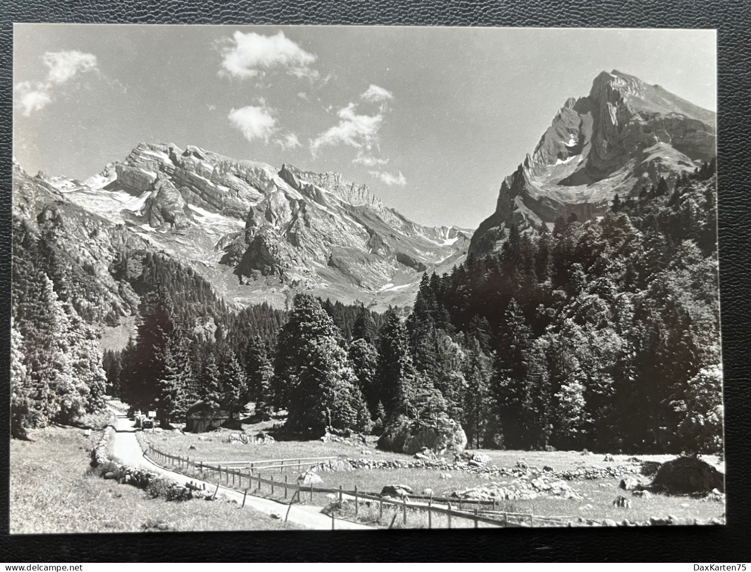 Obertoggenburg Kühboden, Blick Gegen Säntis Und Schafberg - Wildhaus-Alt Sankt Johann