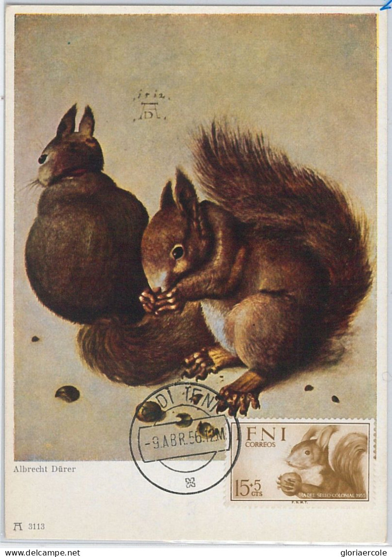 52609 - IFNI - MAXIMUM CARD - ANIMALS Rodents SQUIRRELS  1956 - Rodents