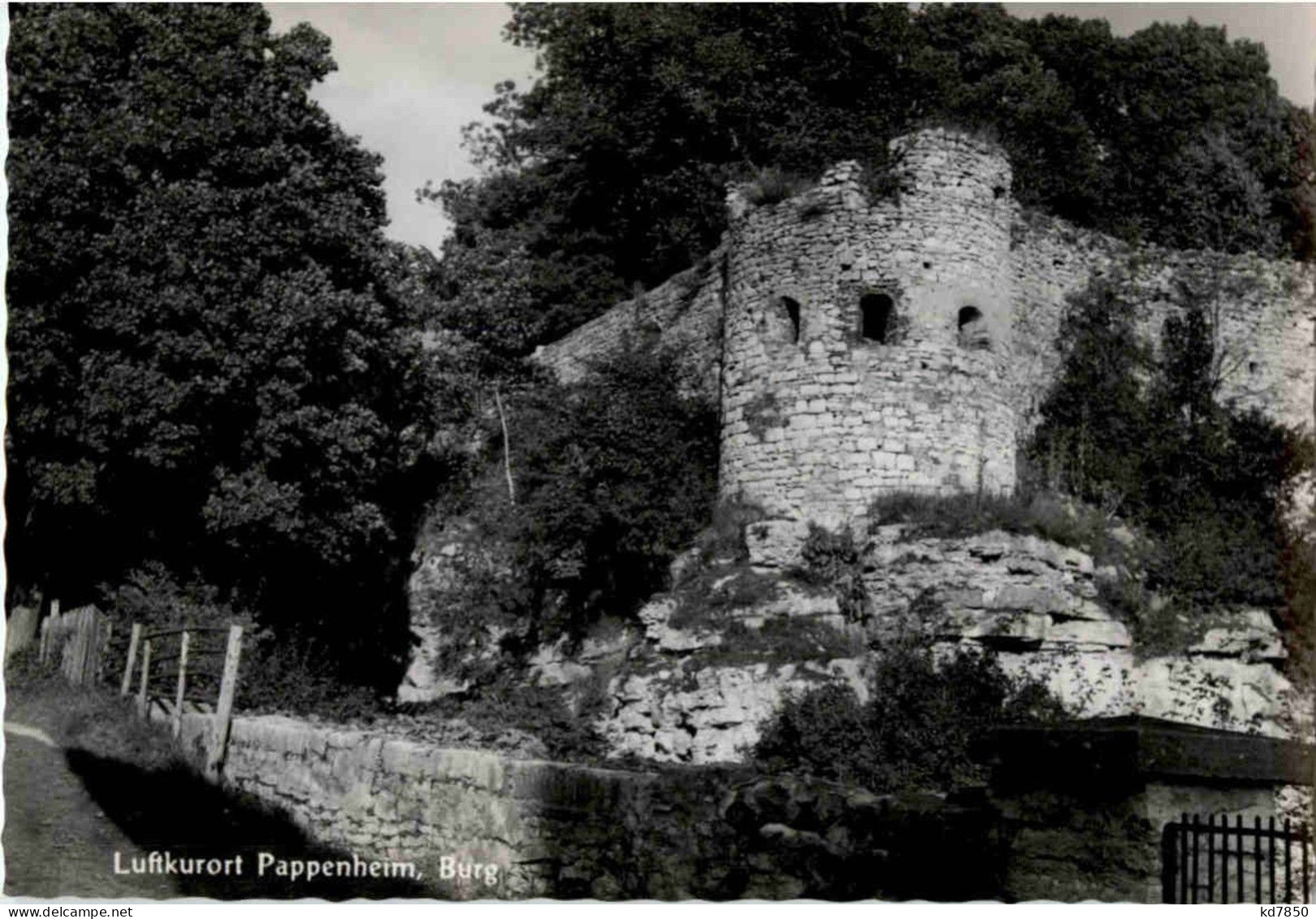 Pappenheim - Burg - Pappenheim