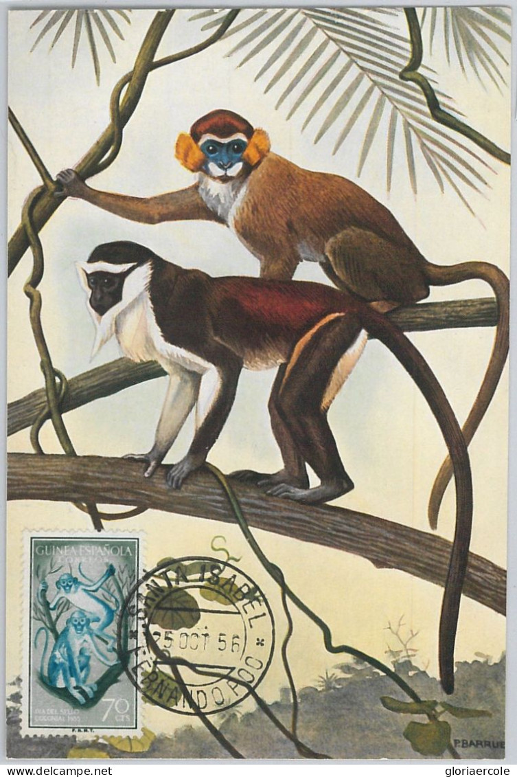 52615 - Spanish GUINEA - MAXIMUM CARD - ANIMALS  Monkeys  1956 - Apen