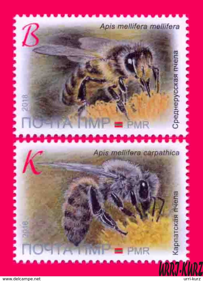 TRANSNISTRIA 2018 Nature Fauna Insects Bees Bee On Flower 2v MNH - Abeilles