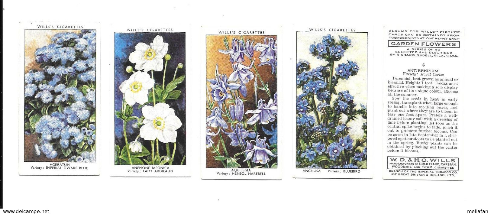 CJ34 - SERIE COMPLETE 50 CARTES CIGARETTES WILLS - GARDEN FLOWERS - FLEURS DU JARDIN - Wills