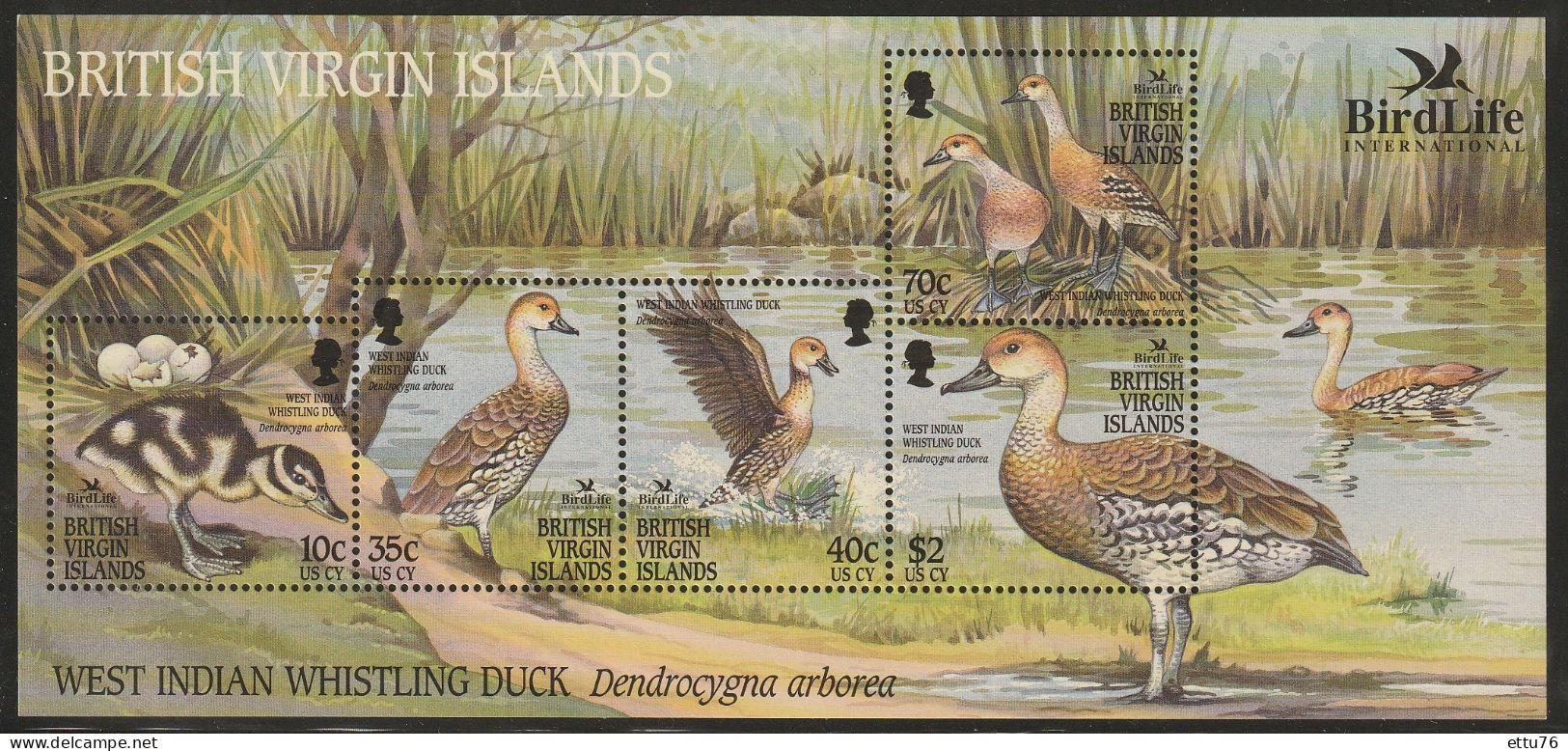 British Virgin Islands   2002  Whistling Duck Sheet  MNH - Canards