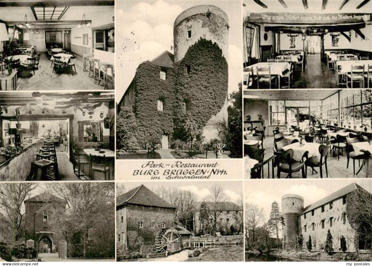 73875278 Amern Park Restaurant Burg Brueggen Gastraeume Bar Teilansichten Amern - Schwalmtal