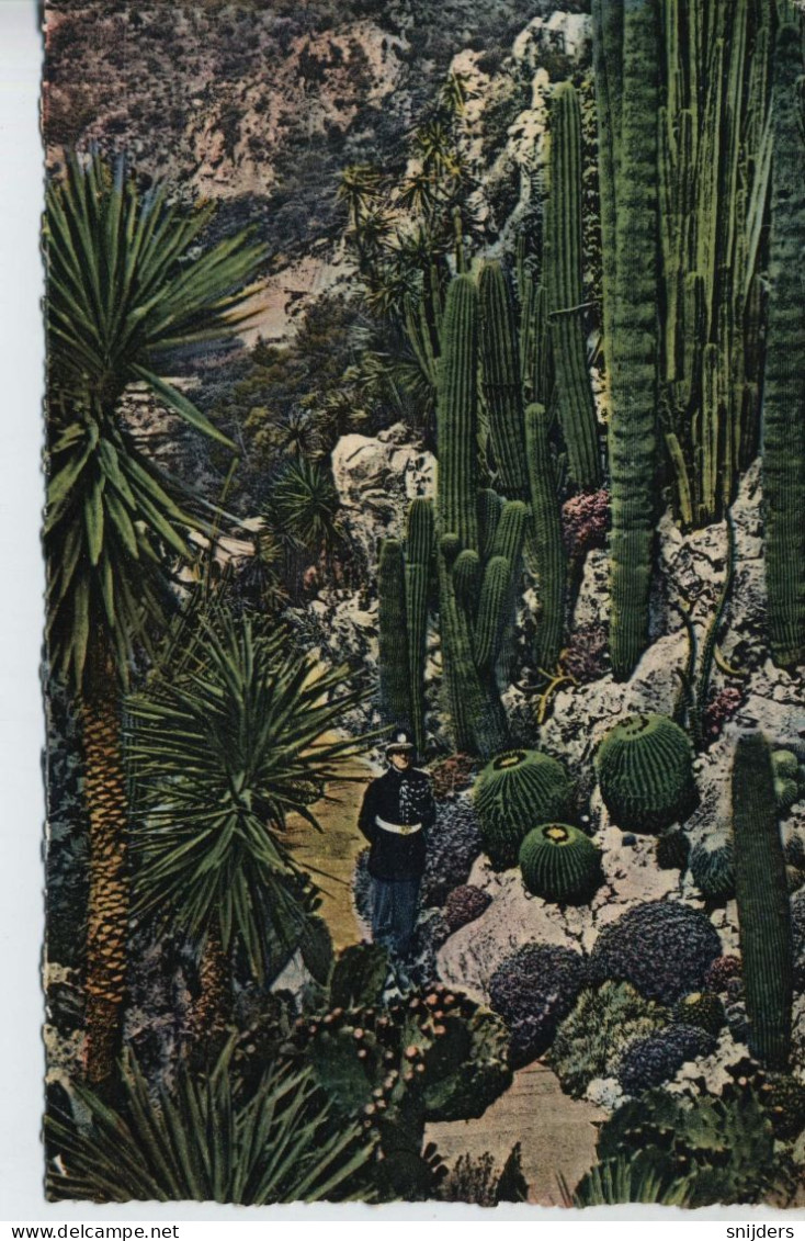 Le Jardin De Monaco Circ. 1960 - Cactusses