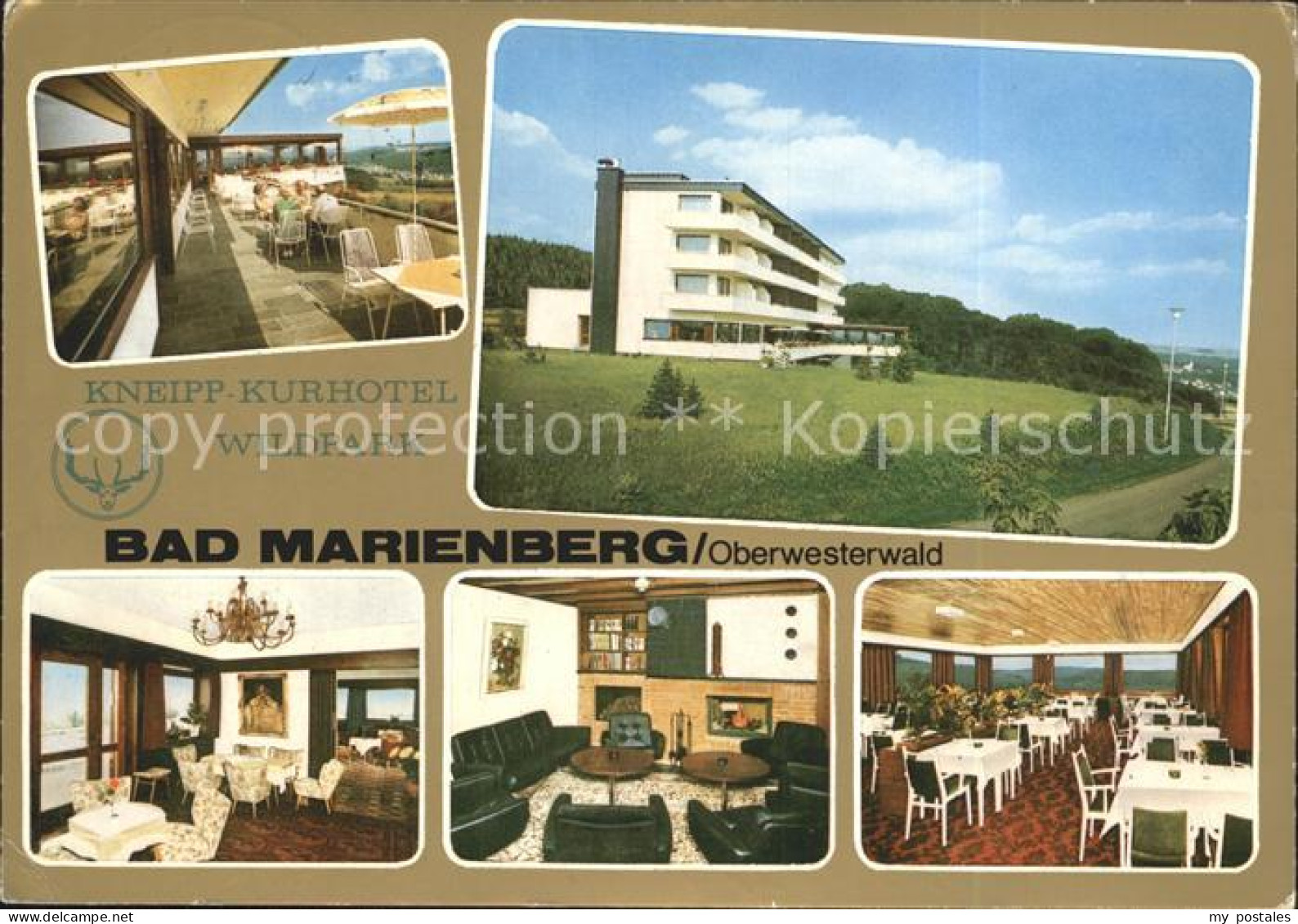 72225933 Bad Marienberg Westerwald Kneipp Kurhotel Wildpark Restaurant Terrasse  - Bad Marienberg