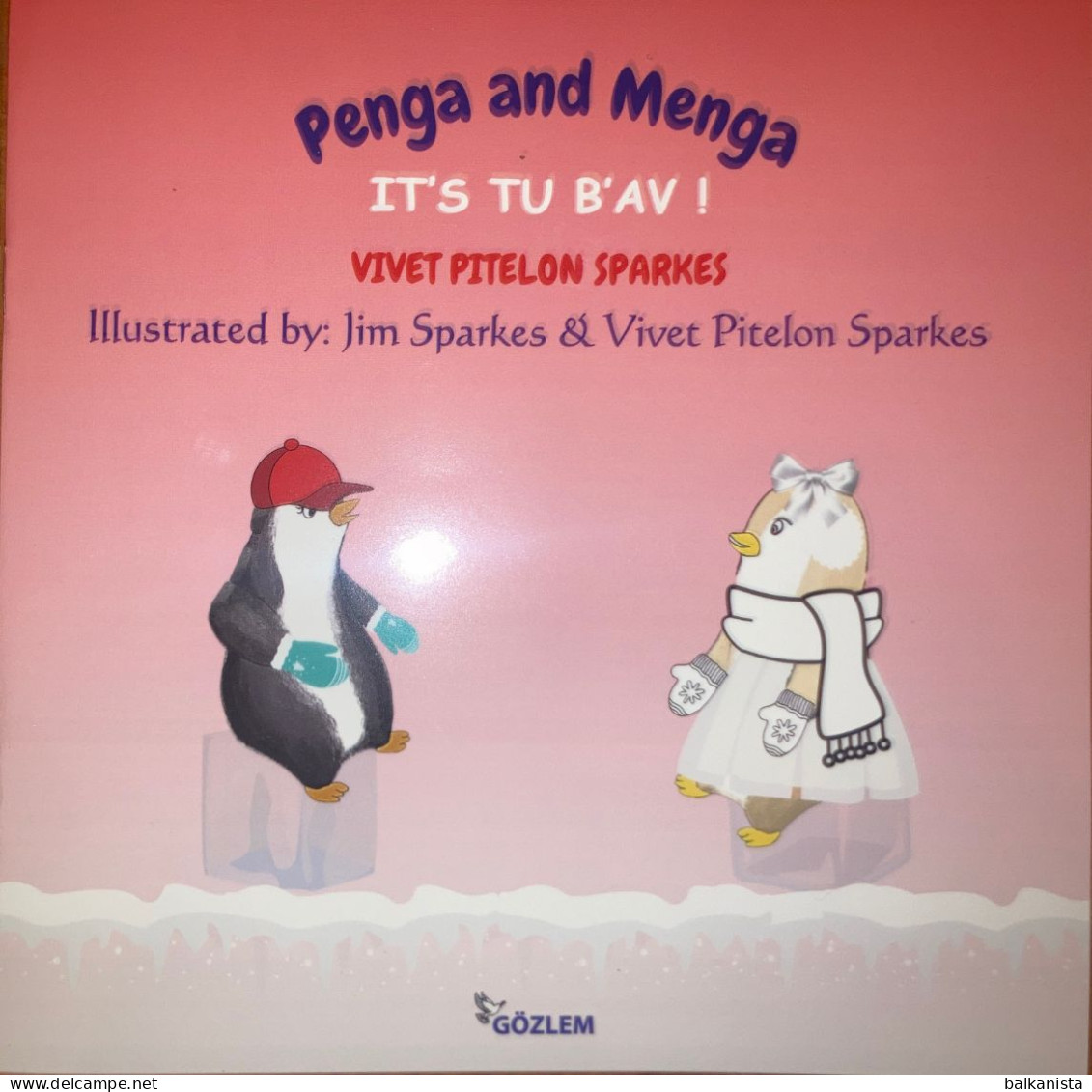 Penga And Menga  Jewish IIlustrated  Children Book 11 Book Set