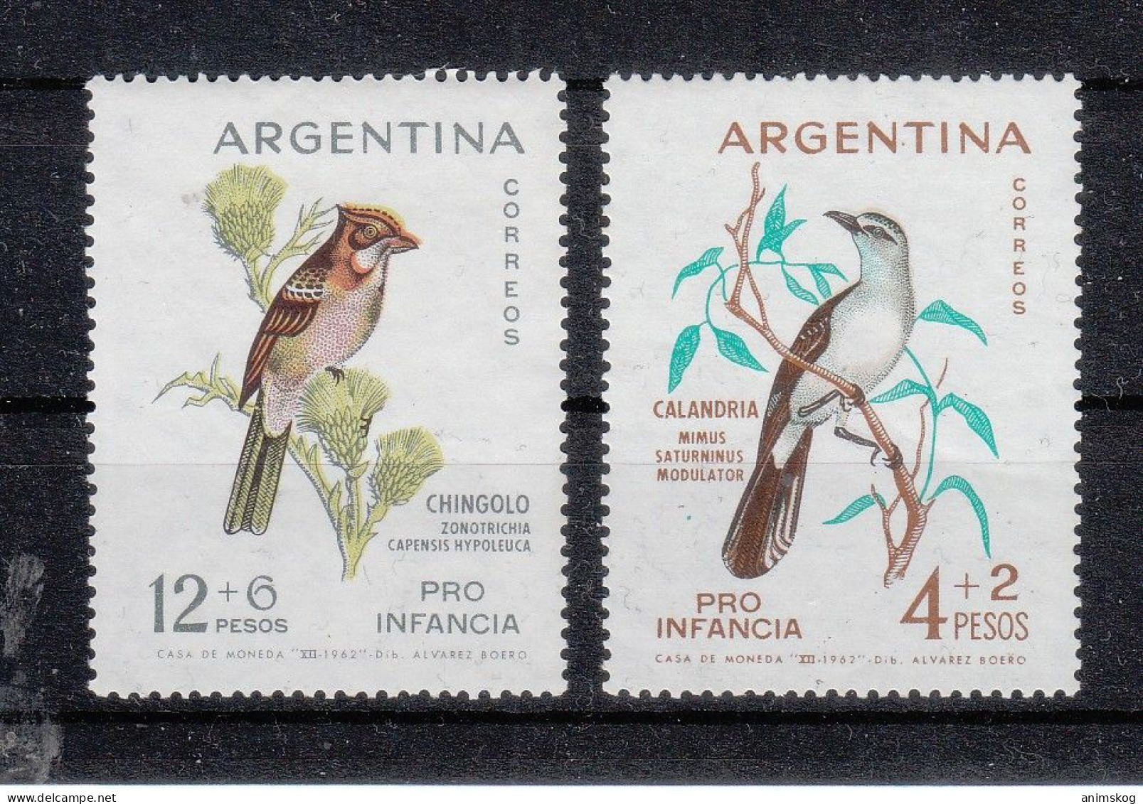 Argentinien 1962**, Kinderhilfe. Sukkulente Senecio Sp. / Argentina 1962, MNH, Children's Aid, Succulent Senecio Sp. - Sukkulenten
