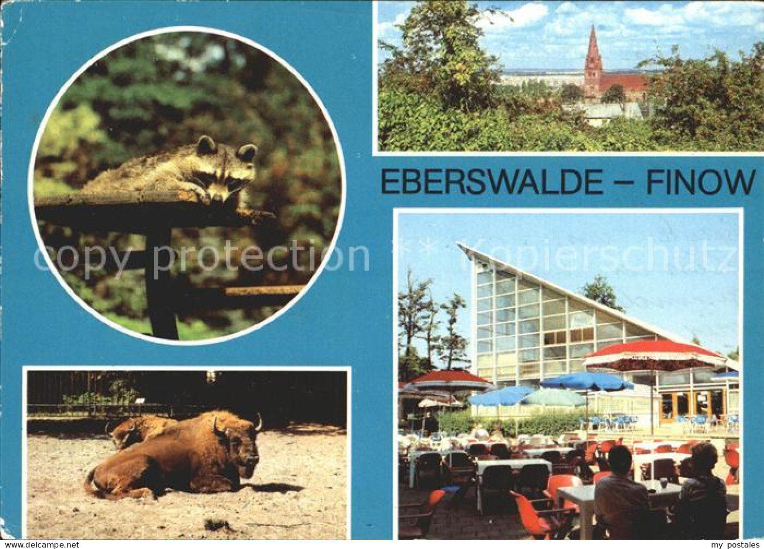 72213908 Finow Eberswalde Tierpark Waschbaer Bueffel Kirche Restaurant Finow Ebe - Eberswalde