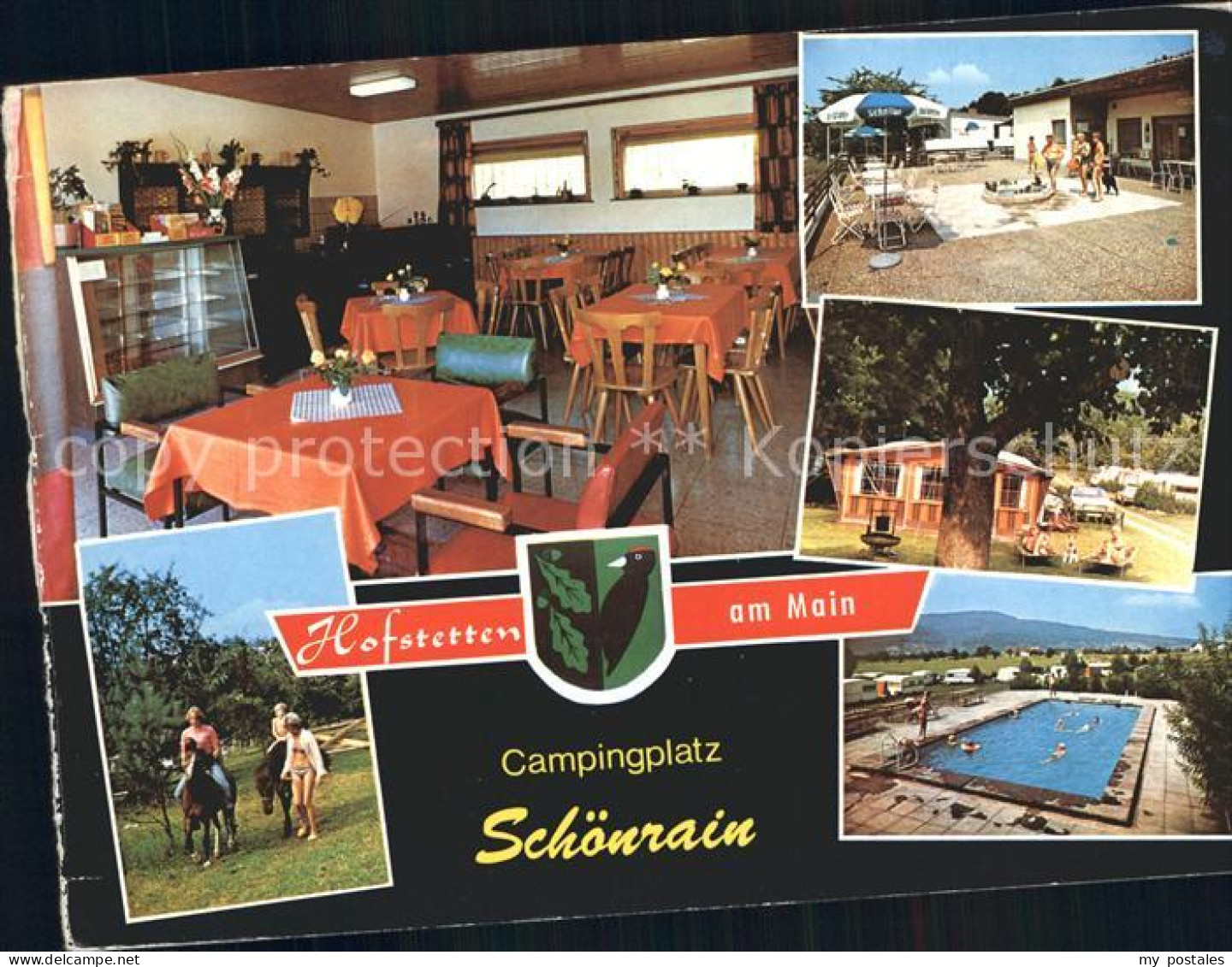 72199438 Hofstetten Main Campingplatz Schoenrain Restauration Reiten Terrasse Sc - Gemünden