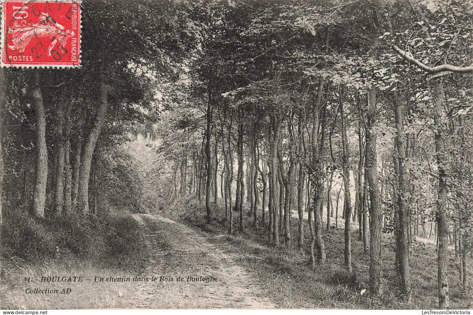 FRANCE - Houlgate - Un Chemin Dans Le Bois De Boulogne - Carte Postale Ancienne - Houlgate