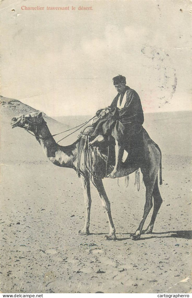 Scenes Et Types - Chamelier Traversant Le Desert - Azië