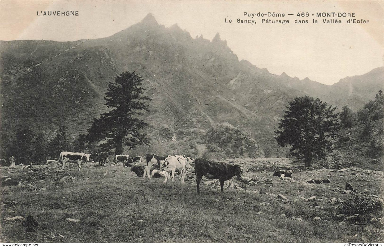 FRANCE - Le Mont Dore - Le Sancy - Pâturage Dans La Vallée D'enfer - Carte Postale Ancienne - Le Mont Dore