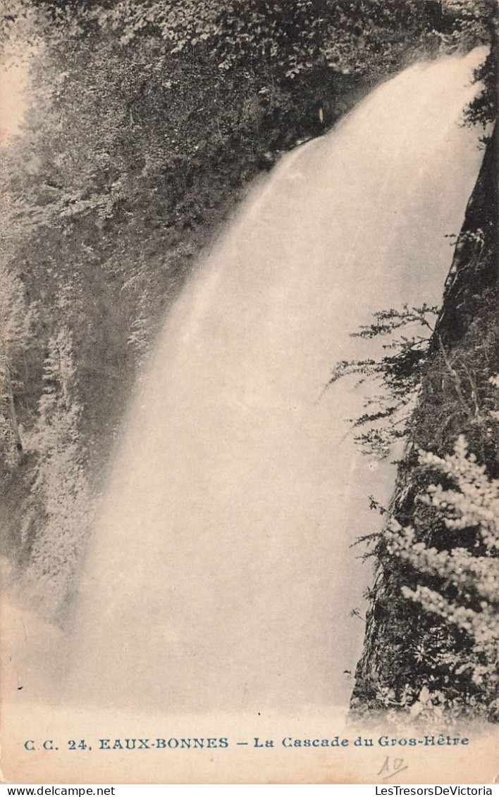 FRANCE - Eaux Bonnes - La Cascade Du Gros Hêtre - Carte Postale Ancienne - Eaux Bonnes