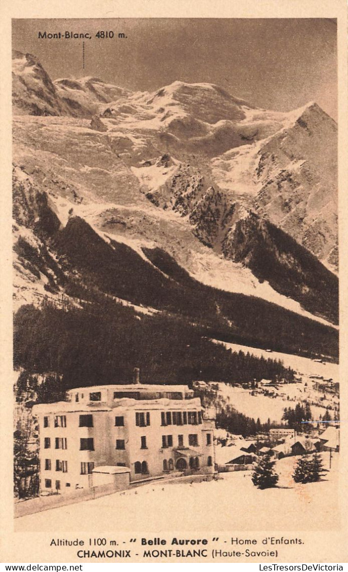 FRANCE - Chamonix - Hotel International Et De La Gare - M Couttet Propriétaire - Carte Postale Ancienne - Chamonix-Mont-Blanc