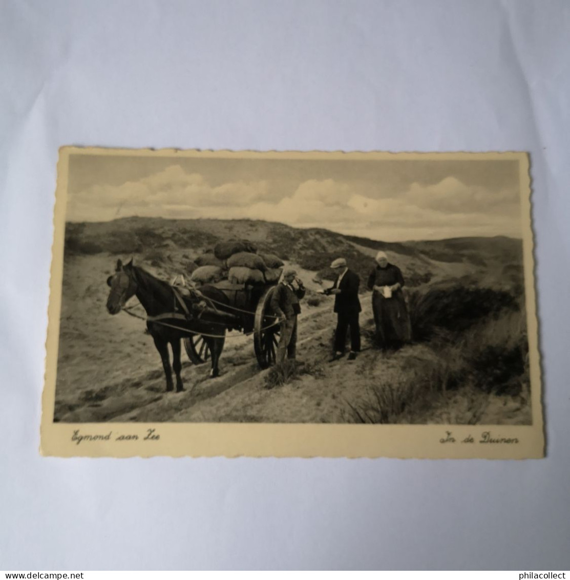 Egmond Aan Zee // In De Duinen (Paard En Wagen) 1934? - Egmond Aan Zee