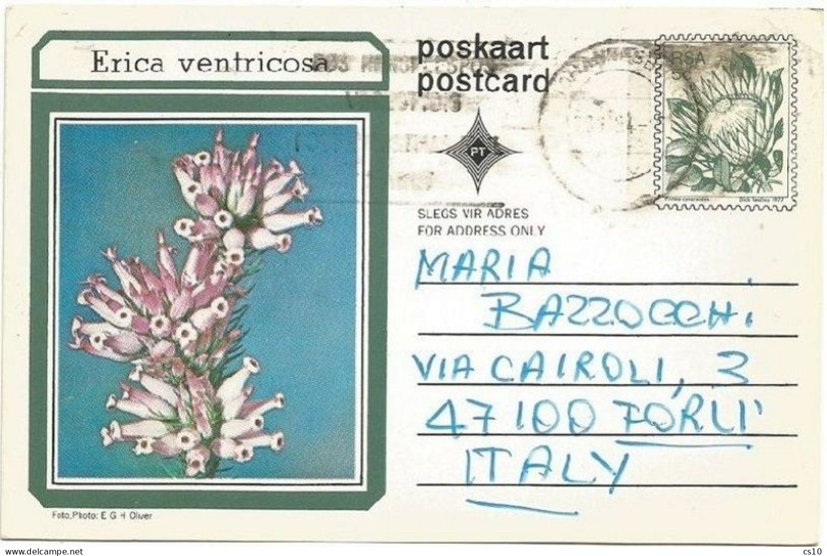 South Africa PSC Plants Trees  C5 Erica Ventricosa SIMPLE USE  Johannesburg 19nov1984 X Italy - Lettres & Documents